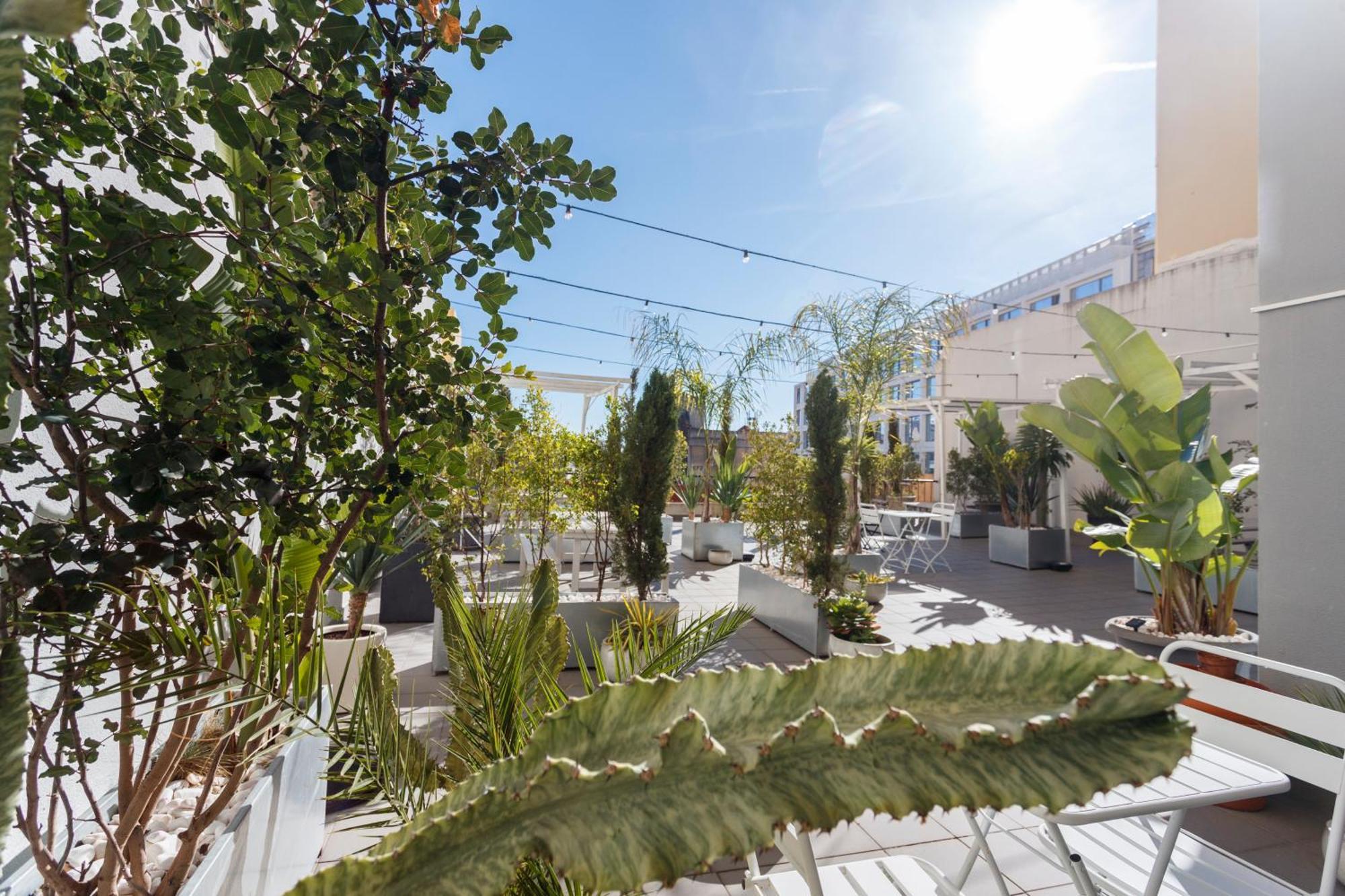 Apperol Lisbon Escape - By Misha'S Place 2A Luaran gambar